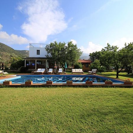 Bal Badem Bungalow Datca Exterior foto