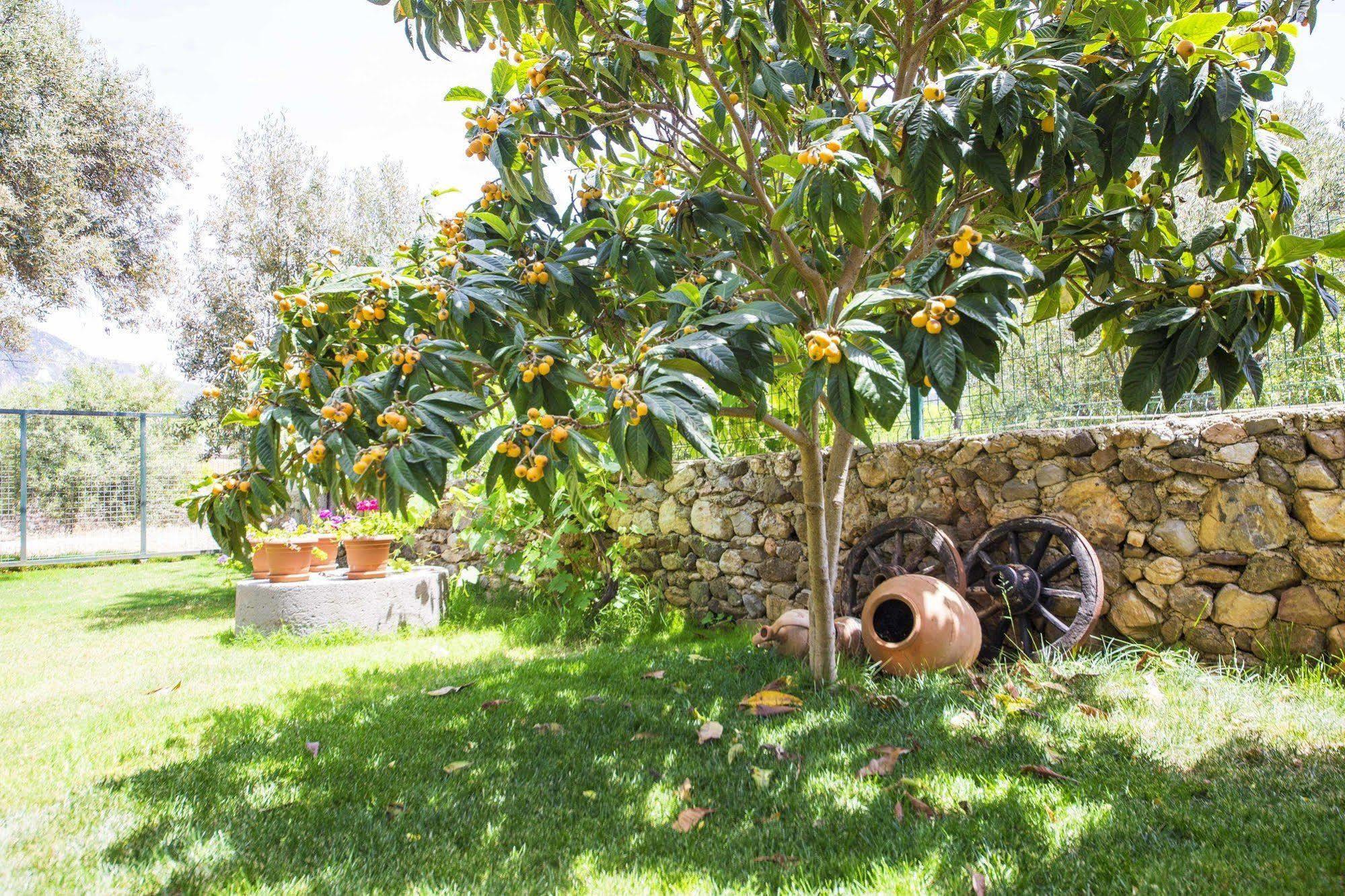 Bal Badem Bungalow Datca Exterior foto